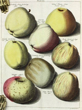 Item #BB1406 Fructologie, ou Description des arbres fruitiers ainsi que des fruits que l'on...