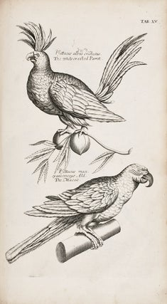 [Natural History] The ornithology of Francis Willughby of Middleton in the county of Warwick Esq; fellow of the Royal Society. In three books. Wherein all the birds hitherto known, being reduced into a method sutable to their natures, are accurately described. The descriptions illustrated by most elegant figures, nearly resembling the live birds, engraven in LXXVII copper plates. Translated into English, and enlarged with many additions throughout the whole work. To which are added, three considerable discourses, I. Of the art of fowling: with a description of several nets in two large copper plates. II. Of the ordering of singing birds. III. Of falconry. By John Ray, fellow of the Royal Society