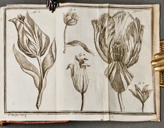 [Hyacinths] Traité sur la connoissance et la culture des jacintes [offered with:] Traité des tulipes qui non seulement réunit tout ce qu'on avait précédemment écrit de raisonnable, mais est augmenté de quantité de remarques nouvelles sur l'éducation de cette belle fleur, par l'auteur du traité des Renoncules [Tulips]