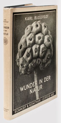 Item #BB2505 [Photobook] Wunder in der Natur. Bild-dokumente schöner Pflanzenformen. Karl...