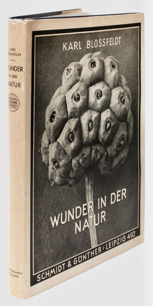 Item #BB2505 [Photobook] Wunder in der Natur. Bild-dokumente schöner Pflanzenformen. Karl BLOSSFELDT.