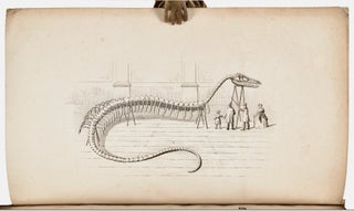 [Sea Serpent] [Moby Dick] Reise durch einen Theil der Vereinigten Staaten von Nordamerika in den Jahren 1844 bis 1846 [A trip through a part of the United States in the years 1844 to 1846]