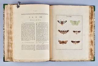 [Butterflies] An exposition of English insects including the several classes of Neuroptera, Hymenoptera, & Diptera, or bees, flies, & libelullæ Exhibiting on 51 copper plates near 500 figures, accurately drawn, & highly finished in colours from Nature
